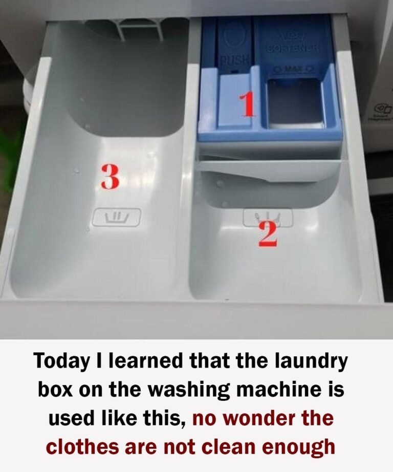 Today I Learned How to Properly Use the Detergent Drawer in a Washing Machine – No Wonder My Clothes Weren’t Getting Clean