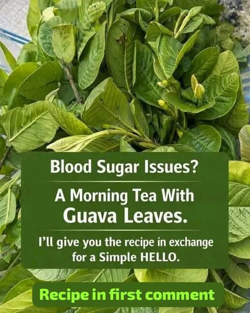 High blood sugar? Drink guava leaf tea in the morning